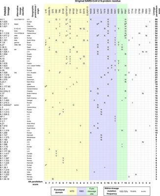 Perspectives: SARS-CoV-2 Spike Convergent Evolution as a Guide to Explore Adaptive Advantage